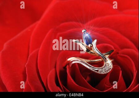 sparkle ring in a red rose Stock Photo