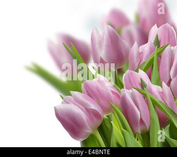 Pink tulips background Stock Photo - Alamy