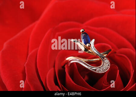 Ring with sapphire in a red rose Stock Photo