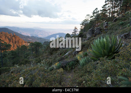 Landscape near the village of Cuajimoloyas looking south towards San Miguel del Valle Stock Photo