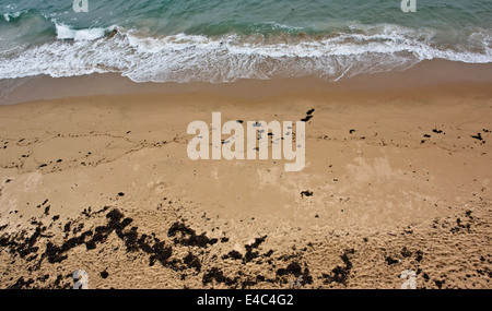 high angle detail of a rocky coast in Brittany, France Stock Photo - Alamy