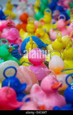 Hook-a-Duck Stock Photo