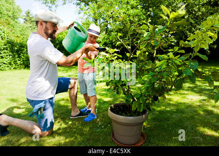 Father and son watering potted plant in the garden, Munich, Bavaria, Germany Stock Photo