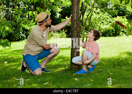Father and son examining a tree in the garden, Munich, Bavaria, Germany Stock Photo