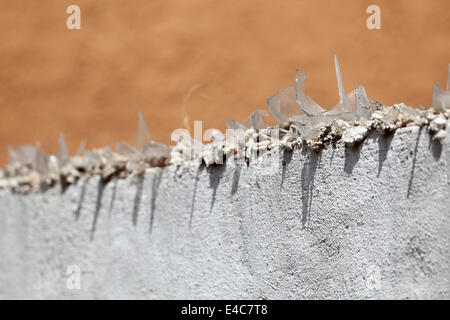 Glass shards on top of a wall Stock Photo