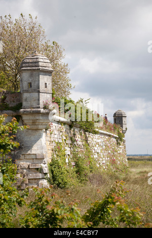 The ancient royal harbour of Brouage (France), sanded up nowadays. Brouage, ancien port royal fortifié, maintenant ensablé. Stock Photo