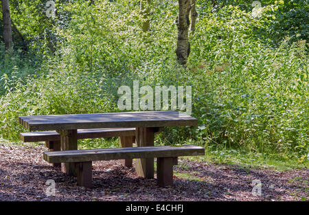Wooden picnic bench in shady woodland Stock Photo