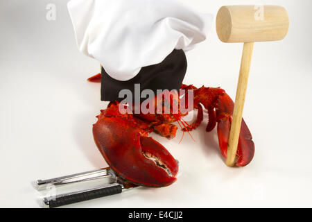 Whole cooked lobster in chef's hat holding a seafood mallet Stock Photo