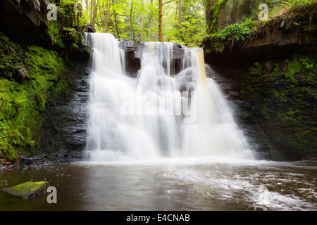 Goit Stock waterfall in Haren Woods near Bradford Stock Photo