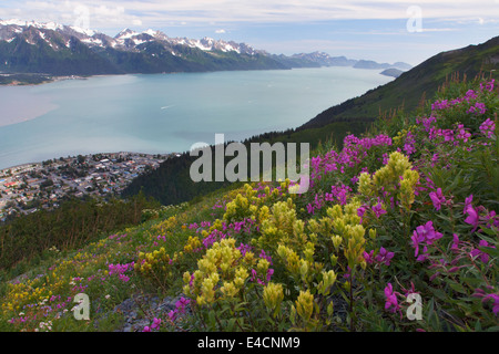 angels rest on resurrection bay of seward alaska angels rest on resurrection bay of seward alaska