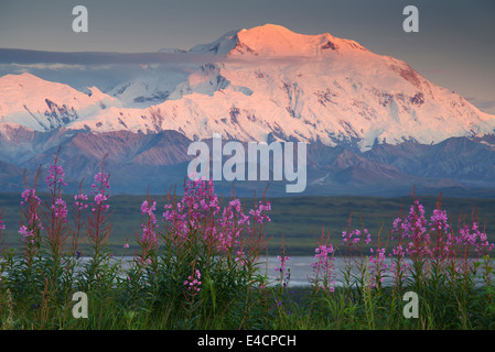 Mt McKinley also known as Denali, Denali National Park, Alaska. Stock Photo