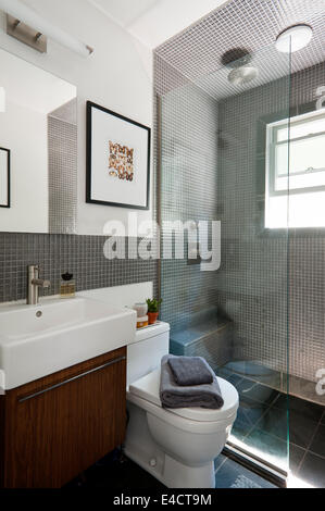 Tiny dark grey tiles and glass screen in contemporary shower room Stock Photo
