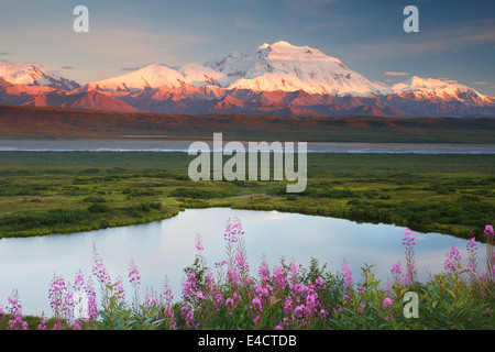 Mt. McKinley, also known as Denali, Denali National Park, Alaska.  Stock Photo