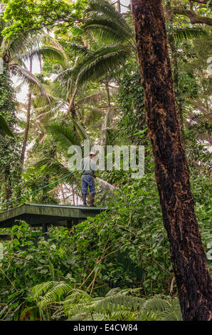 Man Watering a Tropical Forest in Hawaii USA Stock Photo