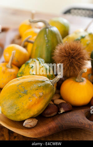 Small yellow pumpkins and round yellow courgettes on a wooden dish Stock Photo