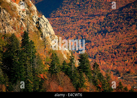 Mountain range and woodland with autumn colors, Velebit, Croatia Stock Photo