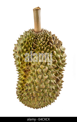 Durian, the king of fruits of South East Asia isolated on white background. Stock Photo