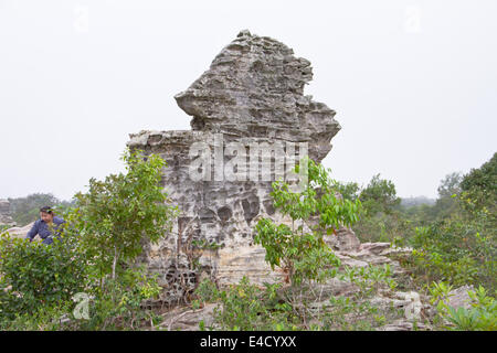 Amazing Shape of Rock at Pa Hin Ngam National Park, Chaiyaphum Province, Thailand Stock Photo