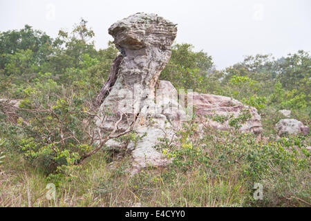 Amazing Shape of Rock at Pa Hin Ngam National Park, Chaiyaphum Province, Thailand Stock Photo