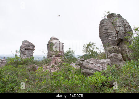 Amazing Shape of Rock at Pa Hin Ngam National Park, Chaiyaphum Province, Thailand Stock Photo