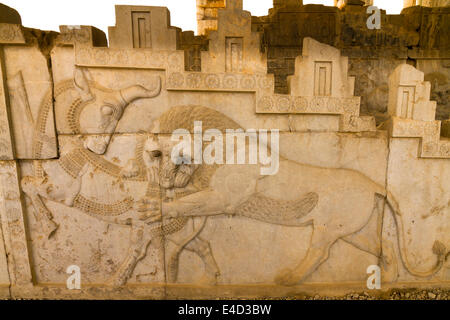 Hunting lion, relief of the Apadana, Persepolis, Fars, Iran Stock Photo