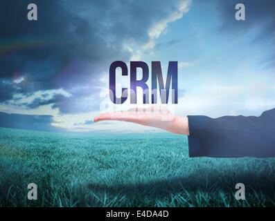 Businesswomans hand presenting the word crm Stock Photo