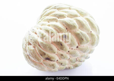 Fresh custard apple isolated on white background Stock Photo