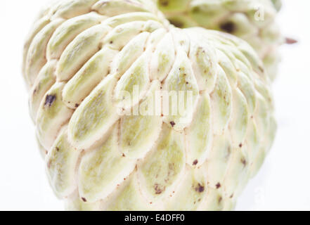 Close up peel texture of unripe custard apple Stock Photo