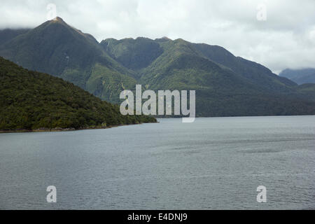 Different shades of green in Doubtful Sound Stock Photo