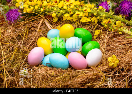 Little colored sugar and chocolate eggs in a nest with flowers around for easter celebration Stock Photo