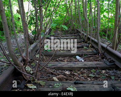 New Growth On The Railway. Stock Photo