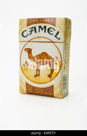 Pack of Camel Cigarettes Stock Photo