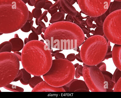 Red blood cells close up slight depth of field Stock Photo