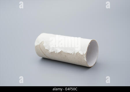 toilet roll with the last bit of tissue on grey Stock Photo