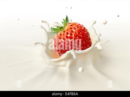 Strawberry falling into milk splashing. Close up view, On white background. Stock Photo