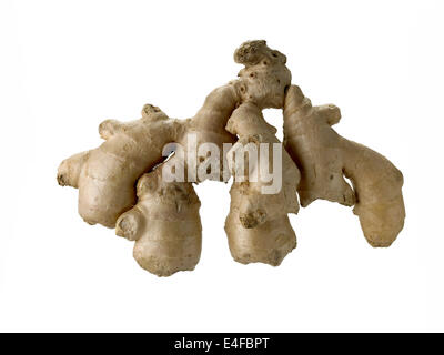 ginger root Stock Photo
