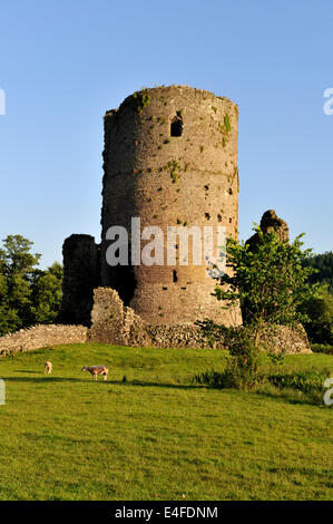 Tretower Castle ruins located in a farmyard, Powys, mid-Wales, UK Stock Photo