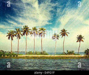 Vintage retro hipster style travel image of palms at Kerala backwaters with grunge texture overlaid. Kerala, India Stock Photo