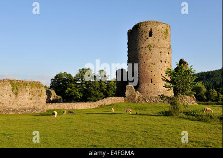 Tretower Castle ruins located in a farmyard, Powys, mid-Wales, UK Stock Photo