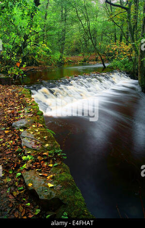 UK,South Yorkshire,Sheffield,Rivelin Valley,River Rivelin,Holme Head Weir Stock Photo