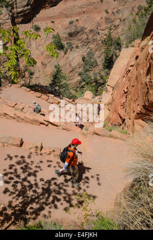 Hikers At Angels Landing Trail, Walters Wiggles Switchbacks Near Scout ...