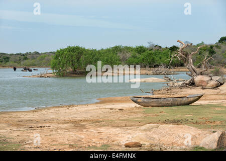 Waterhole attract wildlife during the dry season at Yala National Park in Sri Lanka Stock Photo