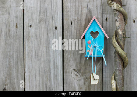 Teal blue and pink birdhouse with hearts hanging on wooden fence next to honey locust tree Stock Photo