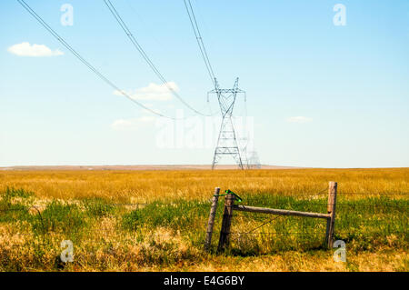 High voltage power lines crossing the open prairie in north central Colorado, USA Stock Photo