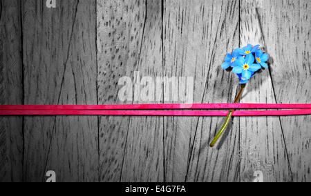 "forget me not"-flower fixed with a red ribbon band on a wooden wall - colorkey image Stock Photo
