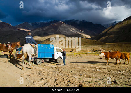 Huasos, Chilean cowboys in Cajon del Maipo y Embalse El Yeso reservoir, Andes, Chile Stock Photo