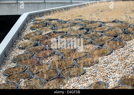 A green roof at the Crystal building which is the first building in the world to be awarded an outstanding BREEAM (BRE Environmental Assessment Method) rating and a LEED (Leadership in Energy and Environmental Design) platinum rating. London, UK. Stock Photo