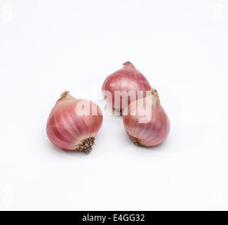Premium Photo  Onion shallot on a black, dark background eating vegetables  and eating healthy eating shallots adding to various dishes, diversifying  food