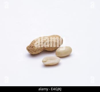 Peanuts isolated on white background Stock Photo