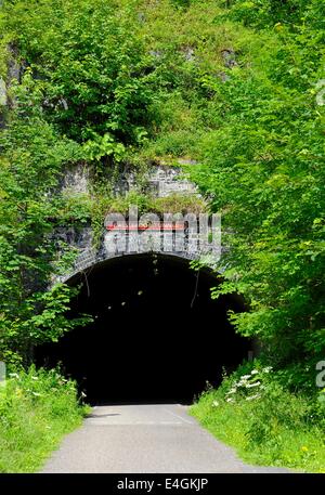 The entrance to the cressbrook tunnel on the monsal trail derbyshire england uk Stock Photo